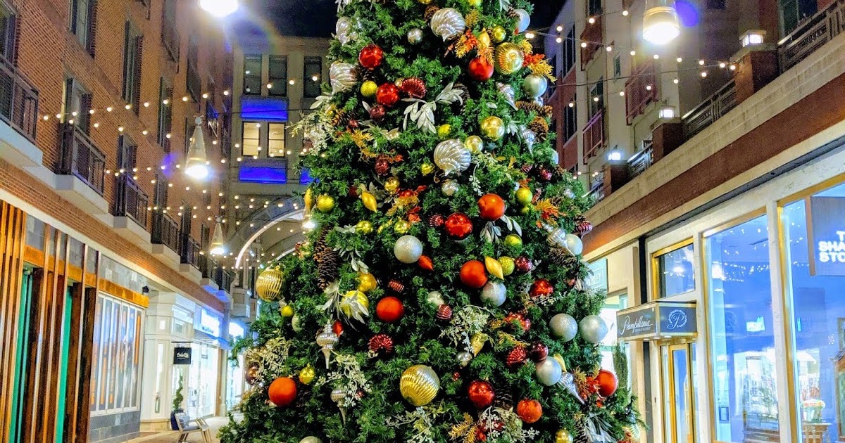 Robert Dyer Bethesda Row Christmas trees delivered at Bethesda Row