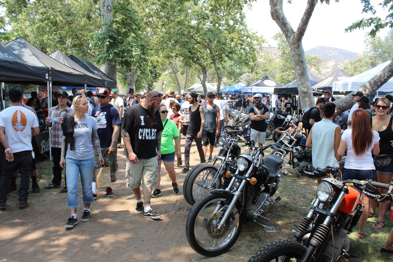 Covering Classic Cars : Born Free 5 Motorcycle Show in Silverado, Ca