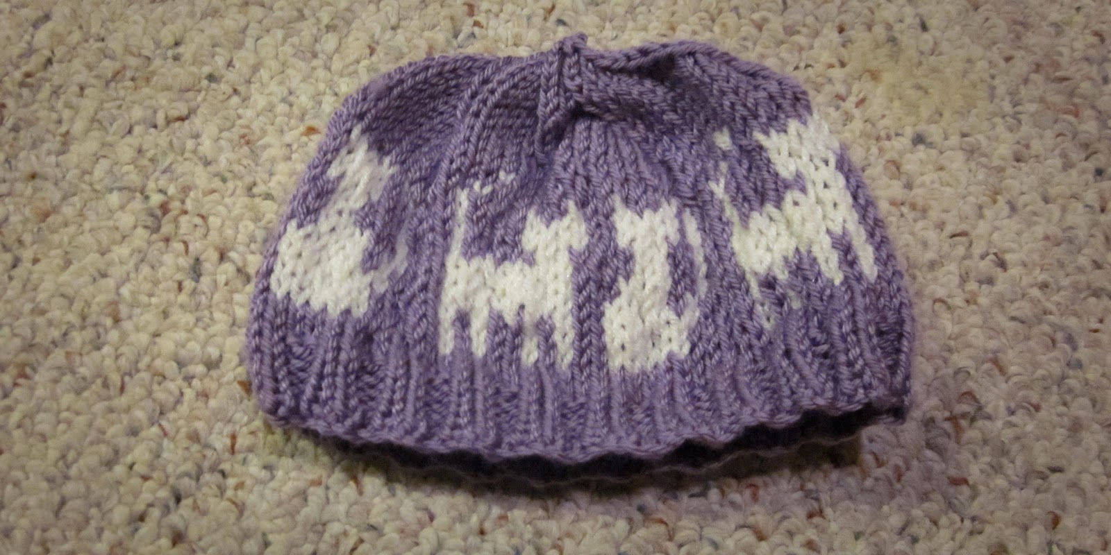 Purple Cat Hat