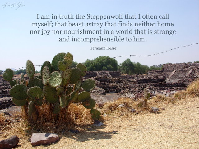 I am in truth the Steppenwolf that I often call myself; that beast astray that finds neither home nor joy nor nourishment in a world that is strange and incomprehensible to him. - Hermann Hesse