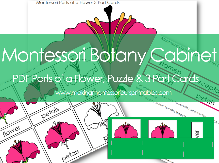 NEW!! Montessori Botany PDF Materials are Available!! "Making