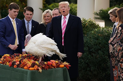 happy thanksgiving 2019: Things you don't know about Thanksgiving happy thanksgiving 2019, happy thanksgiving, thanksgiving, happy, holiday, everything about Thanksgiving, christmas thanksgiving, bells of the song, thanks, thanksgiving day, top 10,
