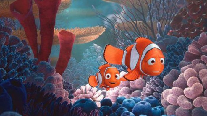 Informasi Belajar Anak Interaktif Gambar Kolase Ikan Nemo