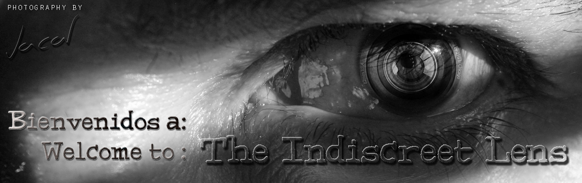 the indiscreet lens