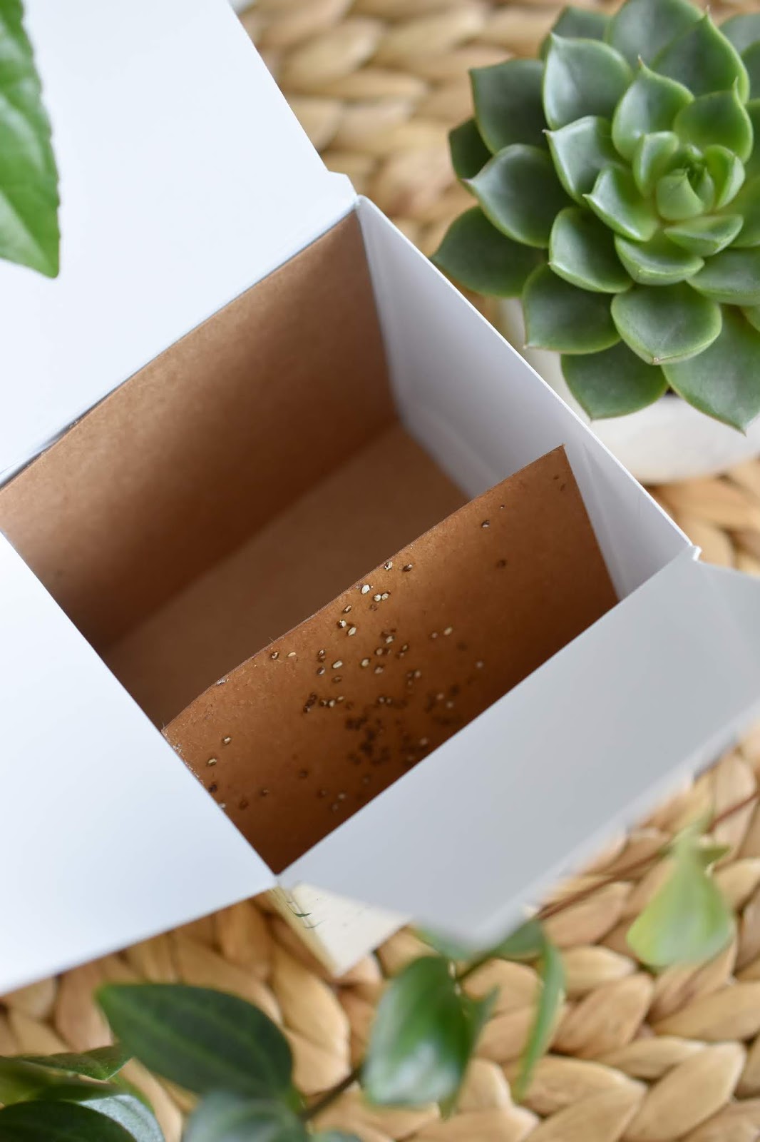 Kobo Plant The Box Des bougies naturelles et écoresponsables avec un