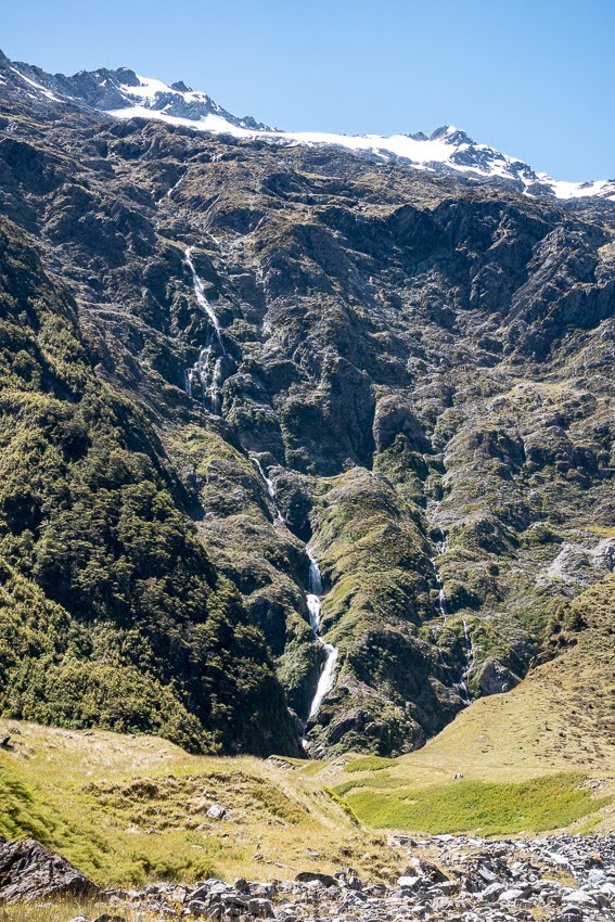 What's Next? Wildflowers in alpine valleys a few days up the Hopkins