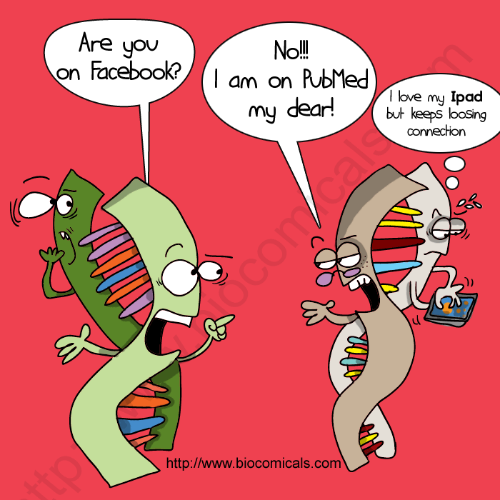 Gene gene interactions "Are you on Facebook?"