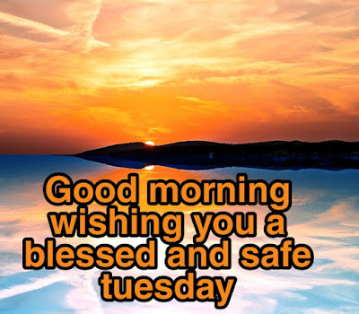 good morning tuesday wishing