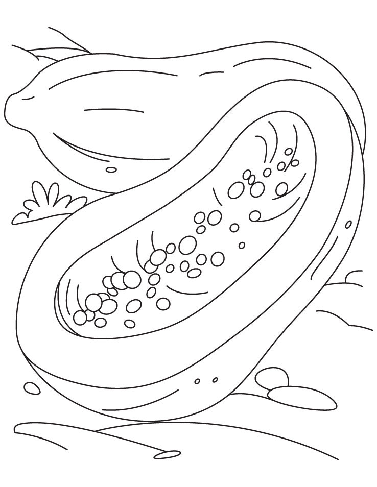 √ 10+ Sketsa Gambar Buah Pepaya » Server Gambar