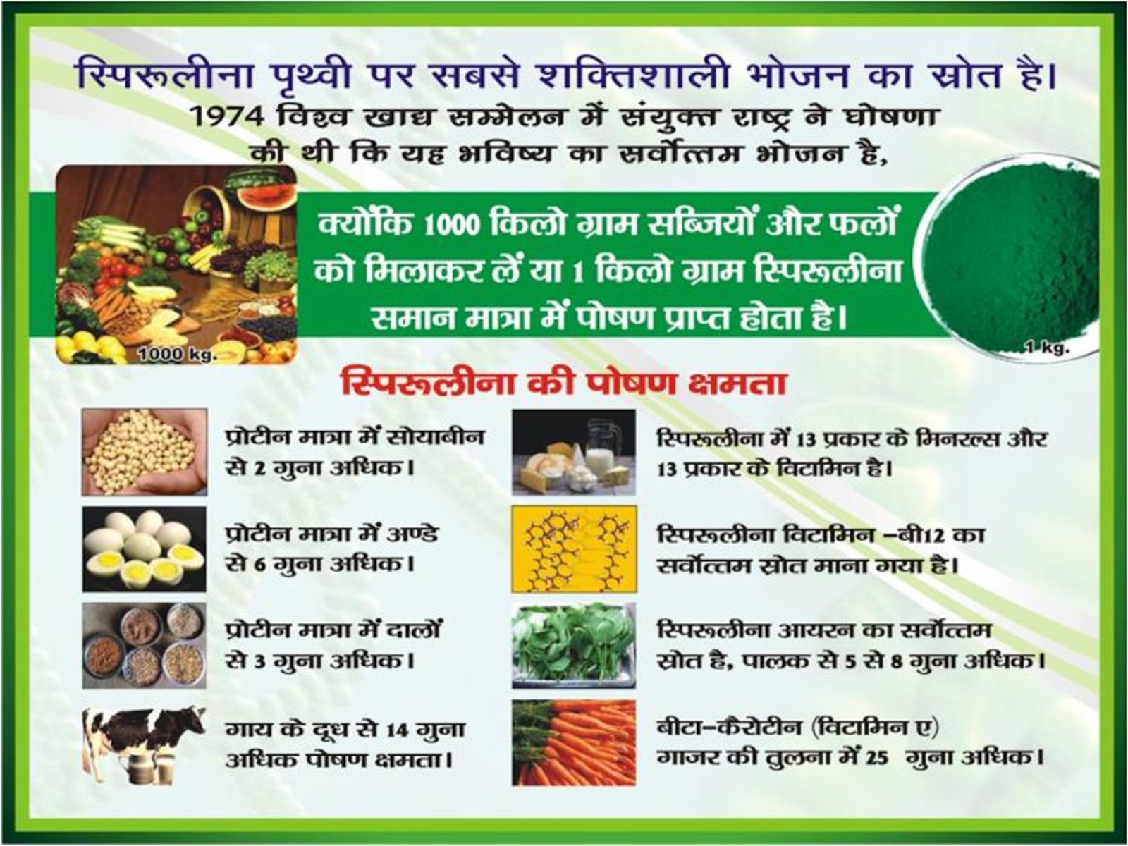 Vestige business plan pdf 2019 08 image