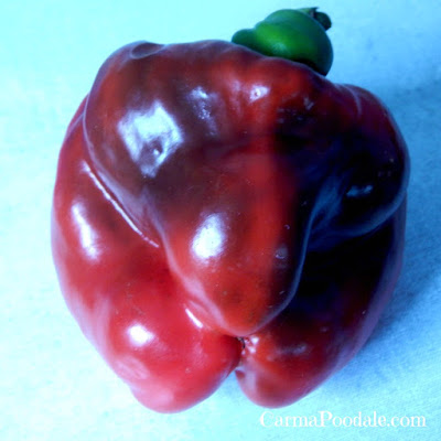 Funky witch bell pepper