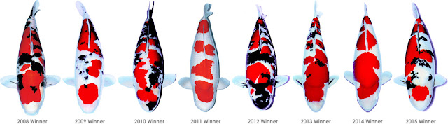 JADWAL KOI SHOW - CFF