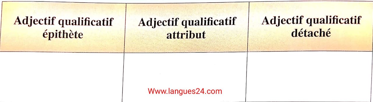 les adjectifs qualificatifs exercices corrigés