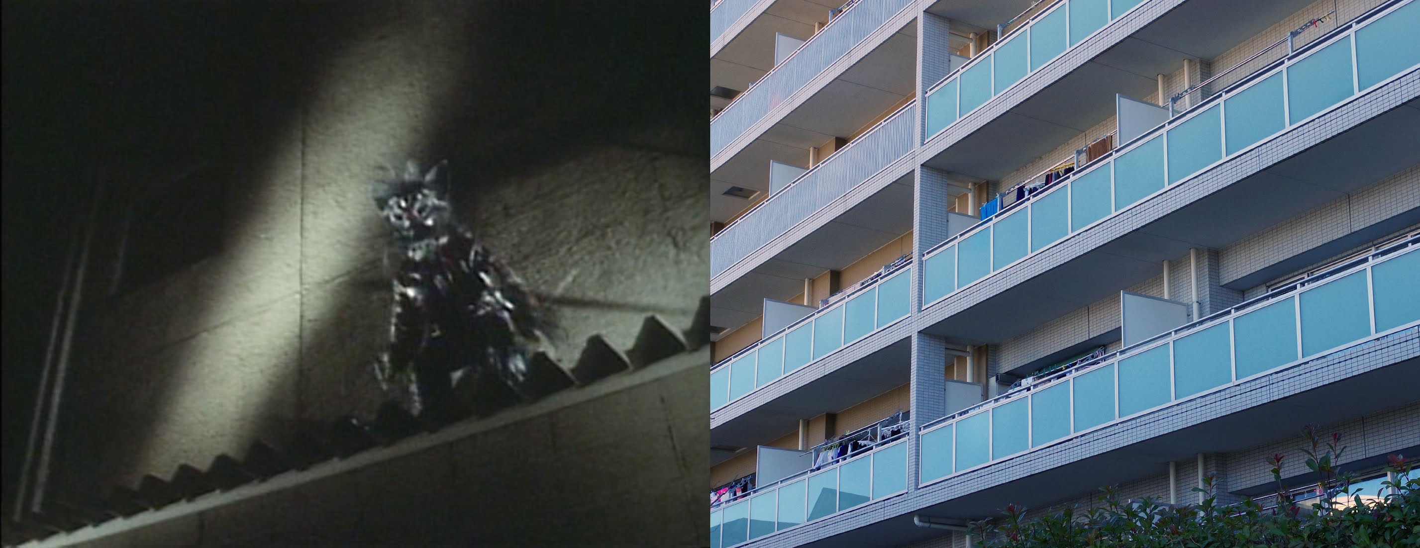 ロケ地マガジン 2月 2021