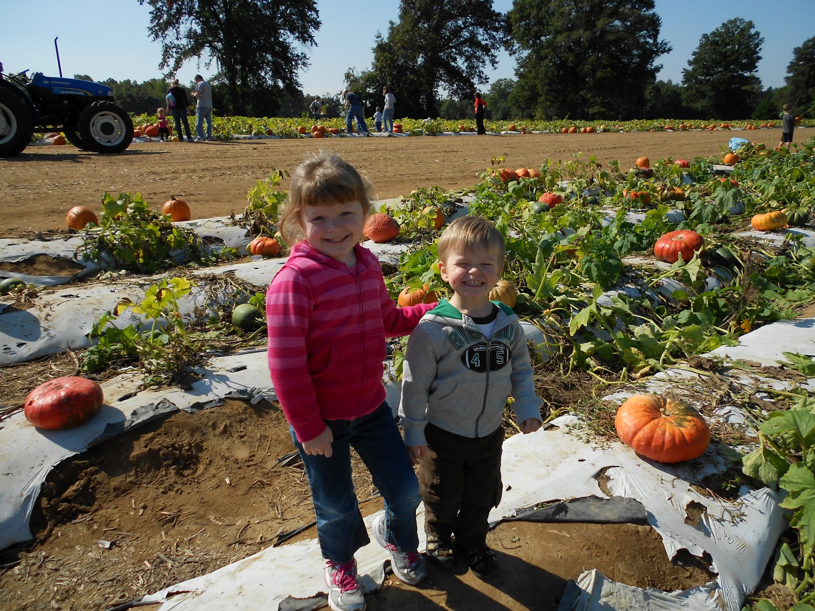 The Davis Family: Pumpkin Patch 2012