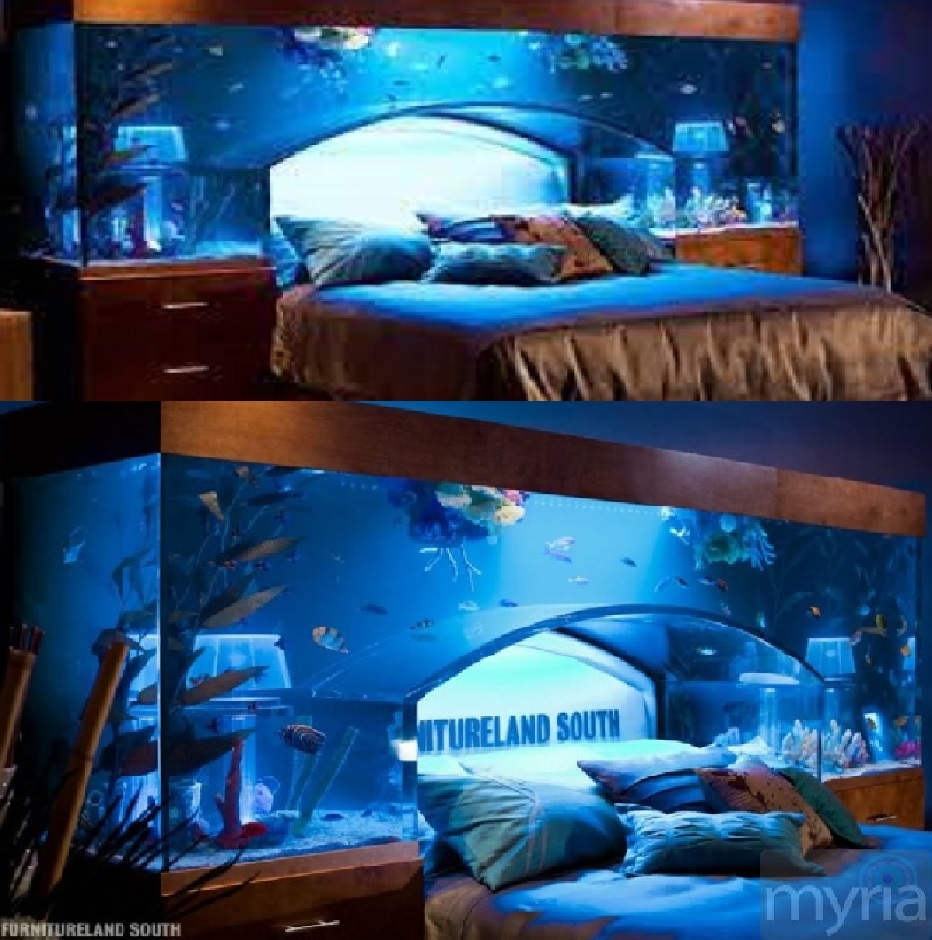 How you ever wanted to sleep in your fish tank? No!