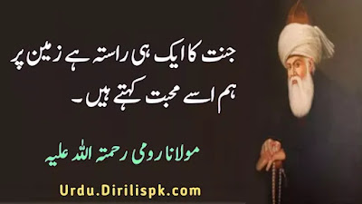 Rumi Quotes in Urdu
