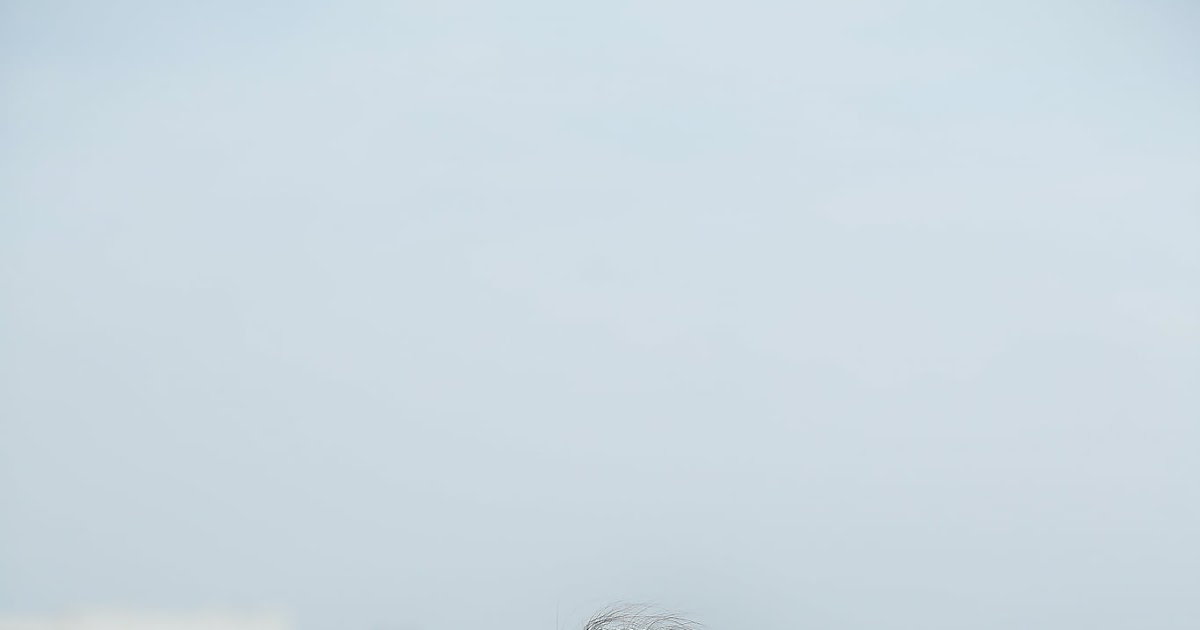 Hot girl…. NAG Lê Xuân Bách,