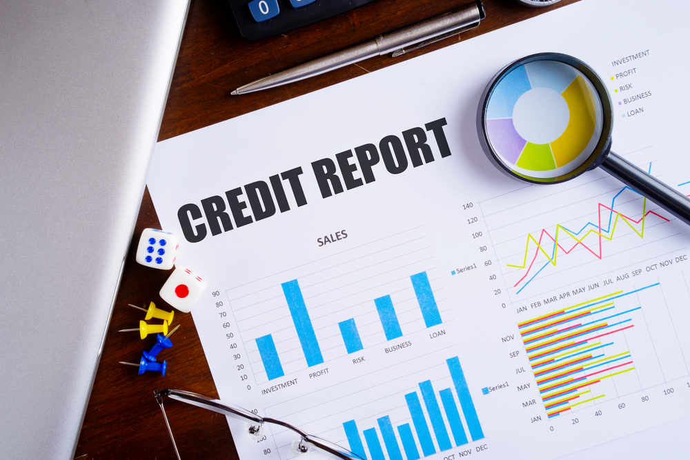 Which Details Are Reflected In Your Credit Report?