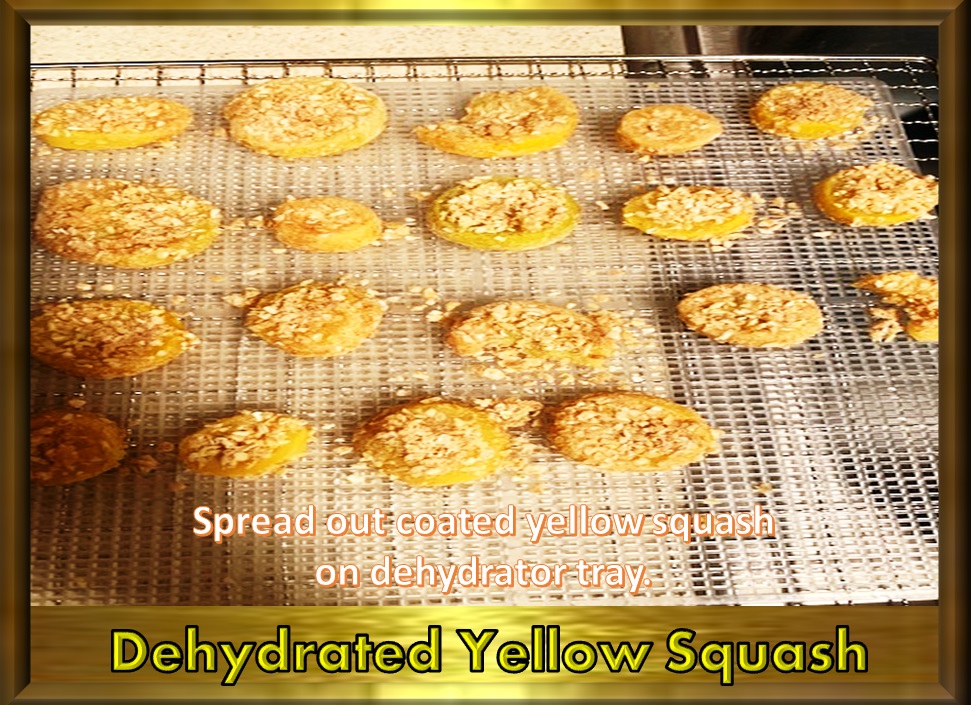 Animal, Nature, and Travel Tastebud Journey Dehydrated Yellow Squash Chips in Dehydrator