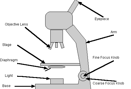 Ciencia Y Matematica De Quinto Grado Suaac 2011