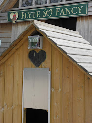 chicken hen automatic door coop fancy flyte vsb doors maggies