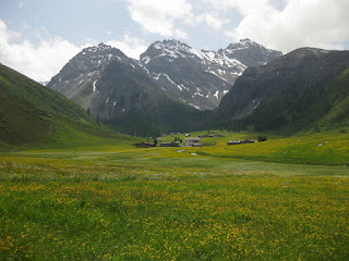 Wildflower meadow with snow-dusted peaks in the distance, Sertig Dörfli, Switzerland