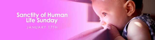 Sanctity of Human Life Sunday - A Joyful Cottage
