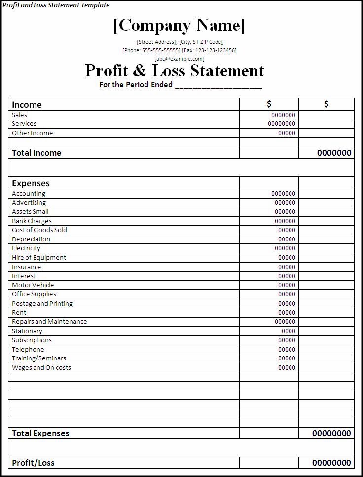 Professional Freelance Content Profit And Loss Statements For 