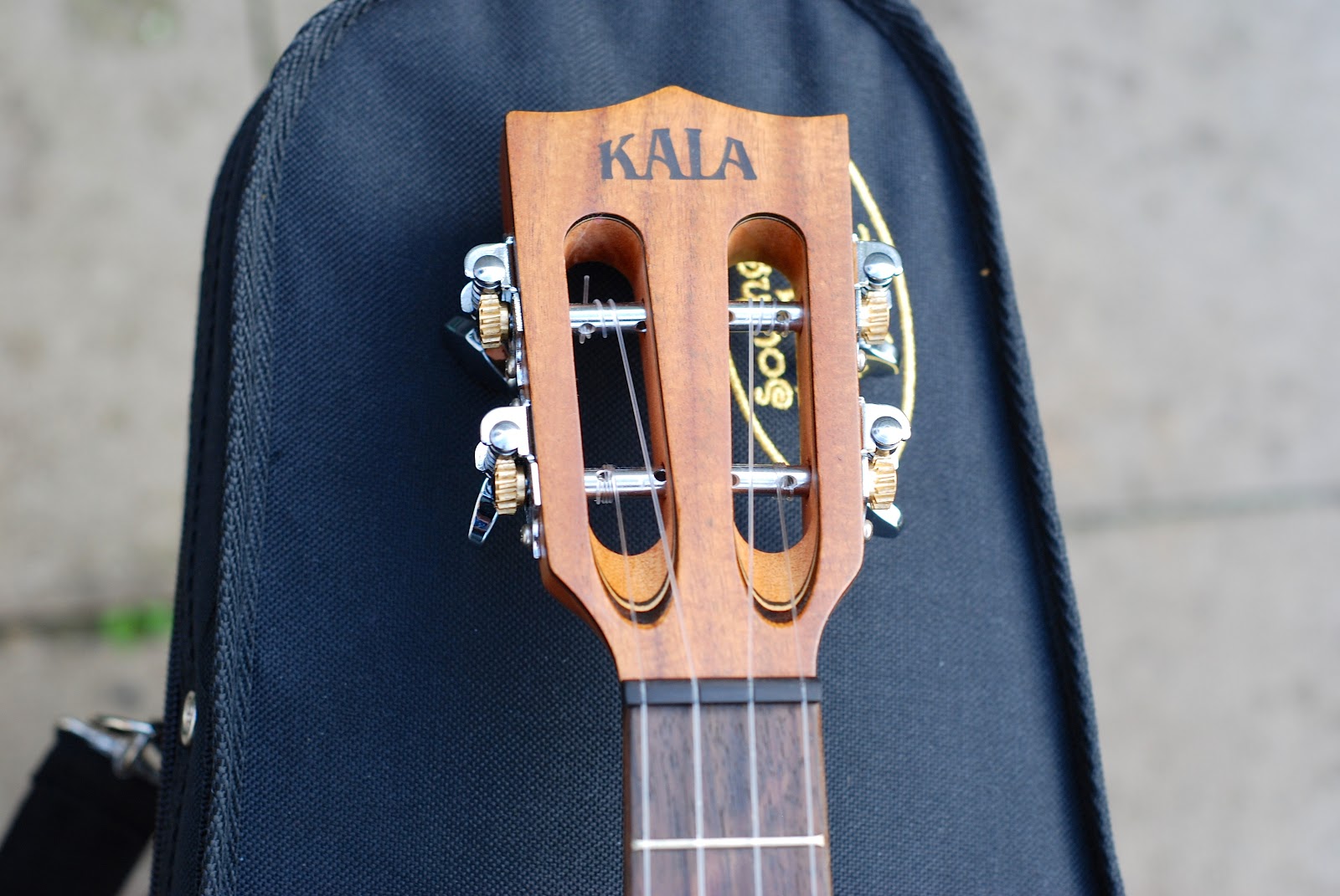 Kala KA ASAC TE C Electro Tenor Ukulele REVIEW