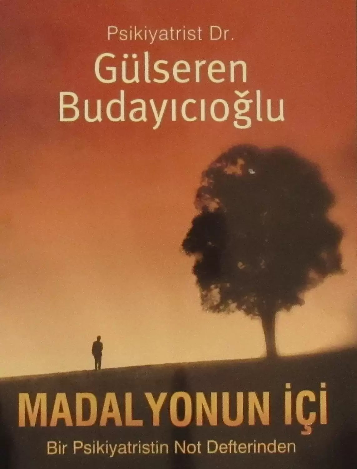 madalyonun ici gulseren budayicioglu e kitap pdf indir