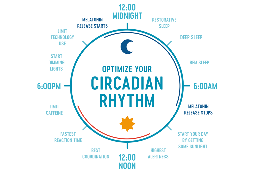 Changing the Circadian Rhythm