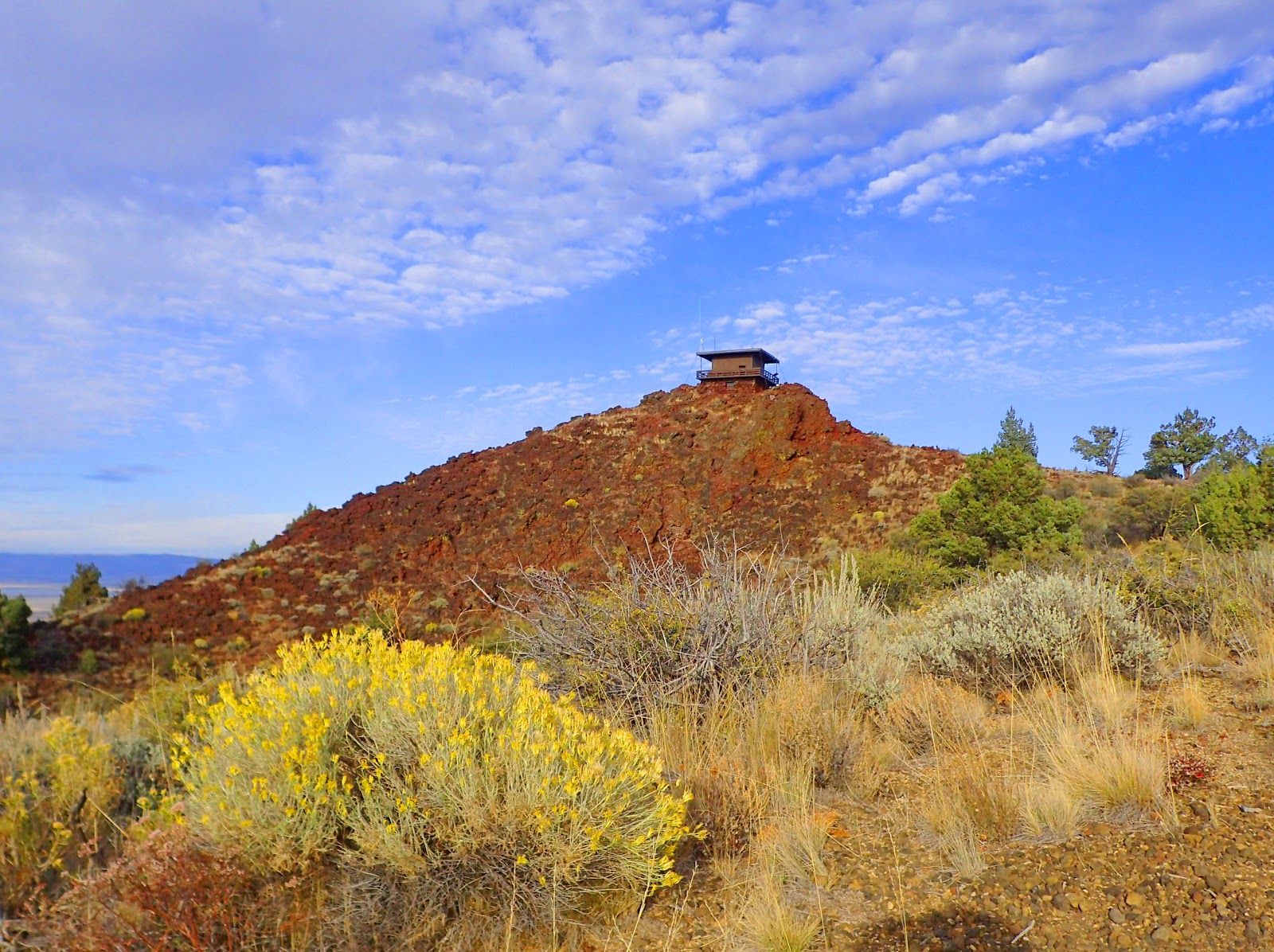 PAMPERED PENGUIN October 2, 2019 Lava Beds National Monument, California