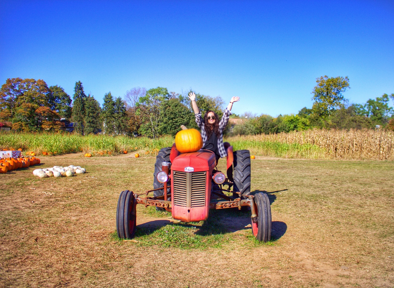 Conklin Farms // New Jersey Wanderlust Beauty Dreams