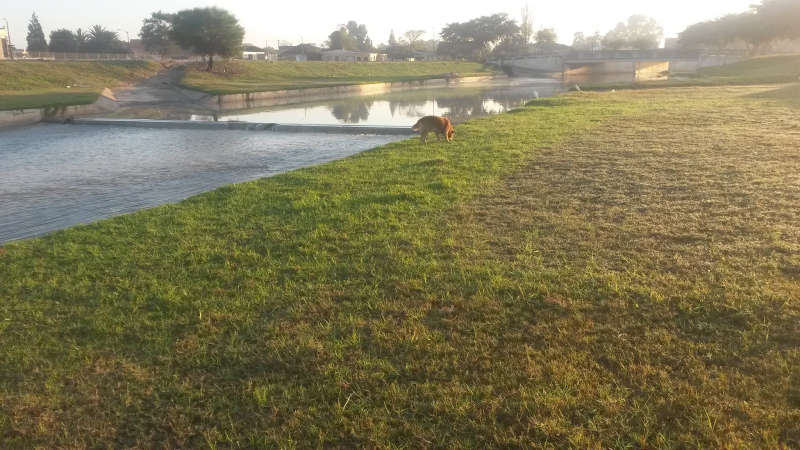 Operation Kuils River Vlei: Beautiful scenery of our beautiful Vlei in Kuils River