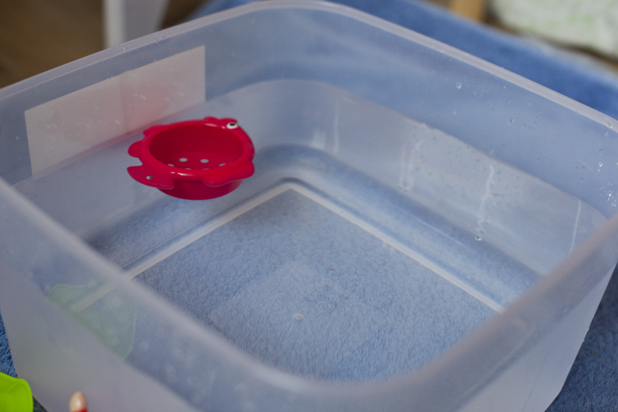 Lily's Little Learners Science For Kids Does it Sink or Float