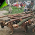 ΚΑΚΟΠΟΙΗΣΗ! Σκύλος μεταφέρει καρότσι γεμάτο με ξύλα 