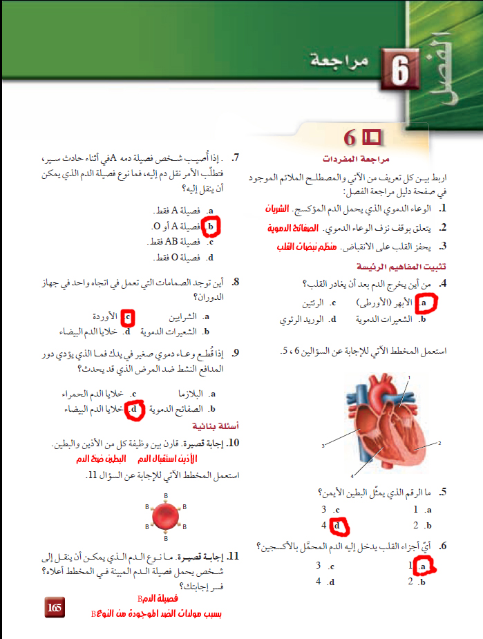 شخص دمه في حادث فصيلة سير اثناء a اذا اصيب تزوج رجل