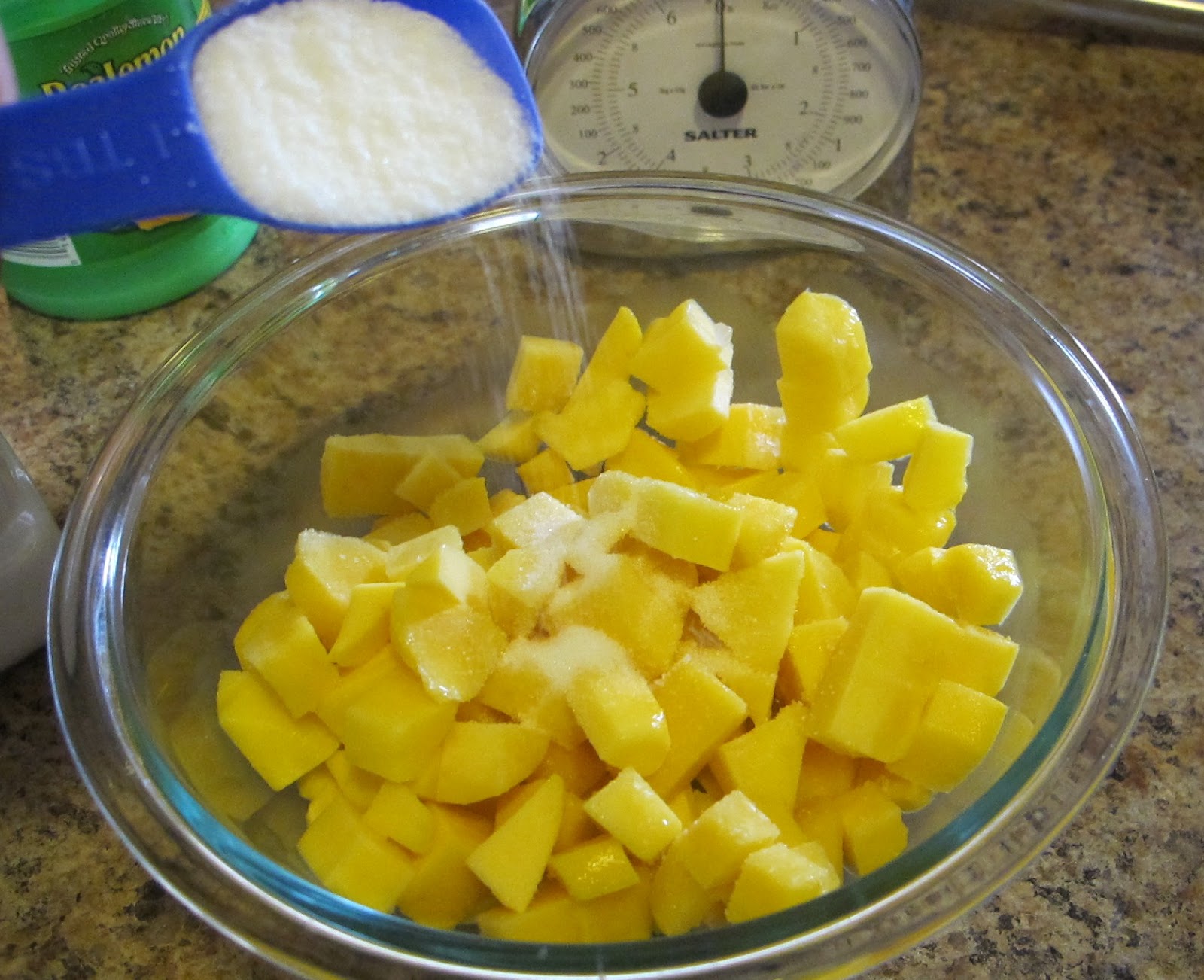 Luscious Bites Macerated Mangoes