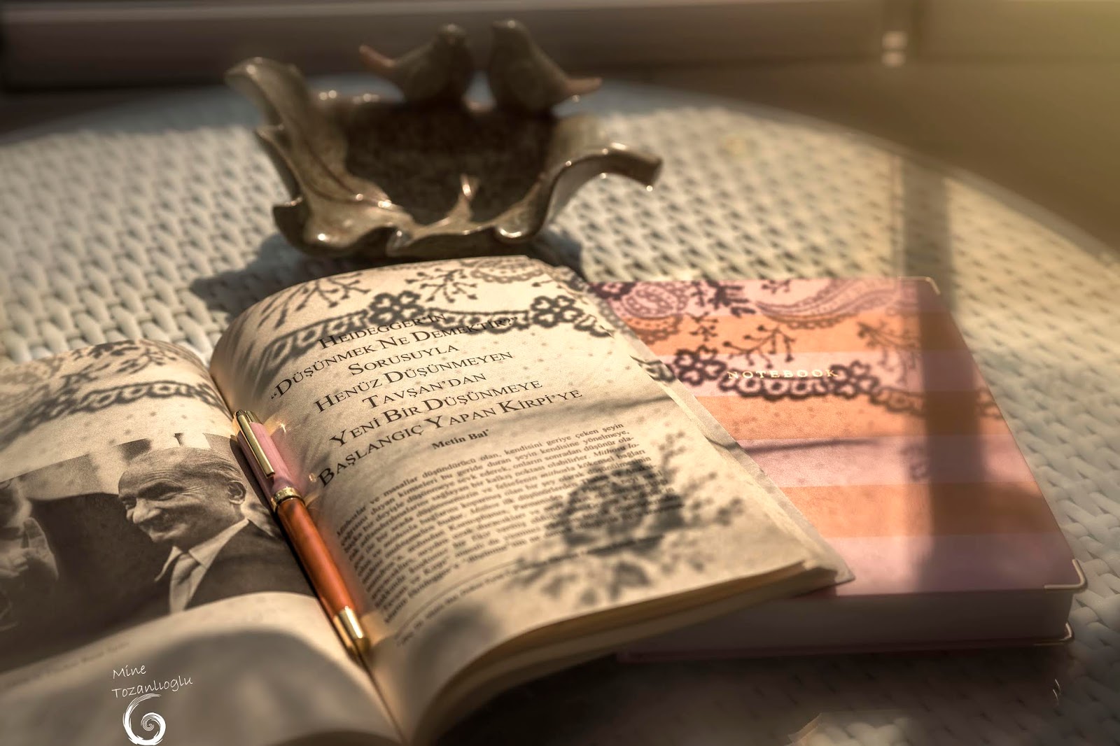 minetozanlioglu blogspot com