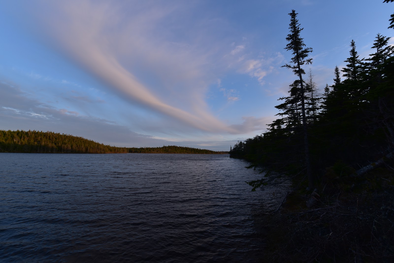 Birding the Boreal Brigus Junction to Whitbourne