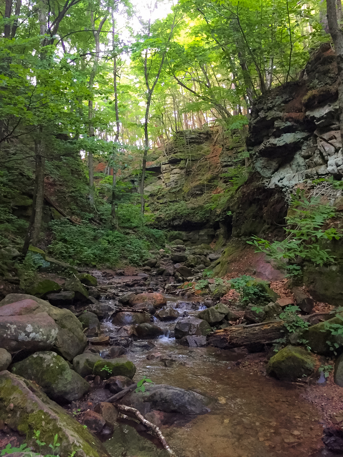 The Trail into Parfrey's Glen becomes difficult further into the glen hikers must walk through the stream