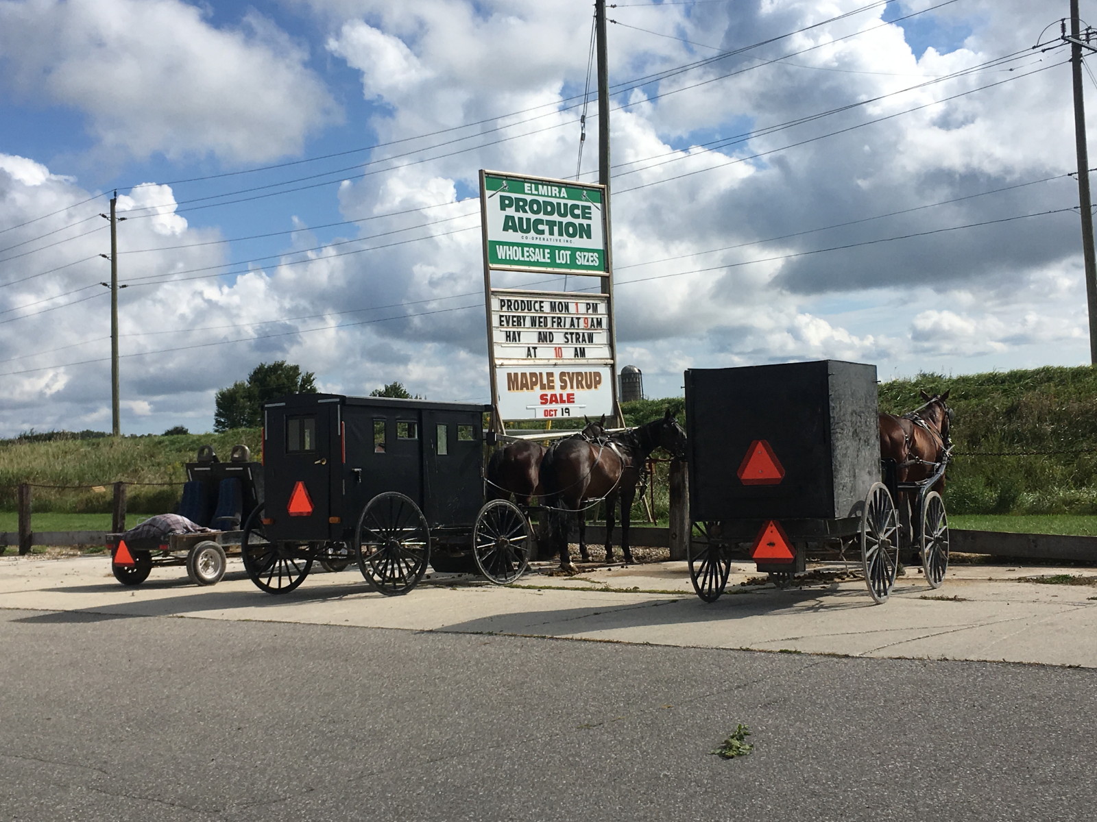 Anja's Photo Journal Elmira Hay Auction