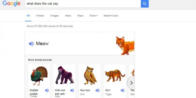 Google Bisa Ajari Anak Suara Binatang