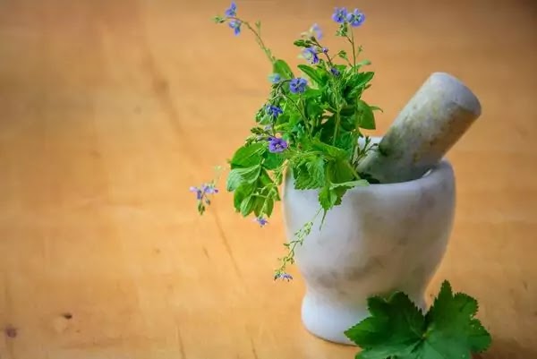 Herbal Medicines | Avoid Drug Poisoning