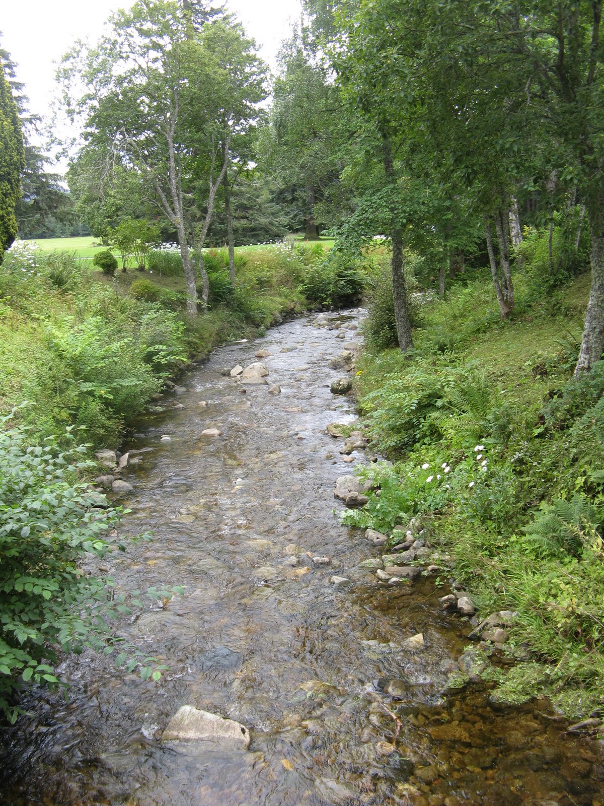 A Sevillian man in London: Ruta por UK (9): el Lago Ness, paisajes y un