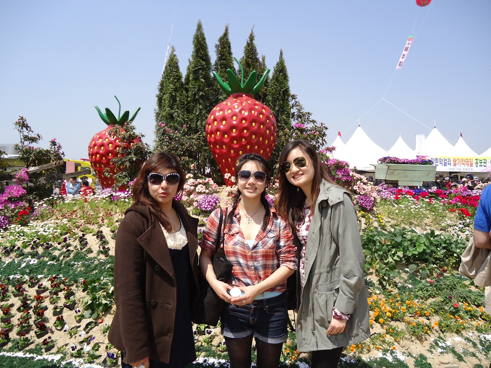 KRISTINE IN KOREA Nonsan Strawberry Festival