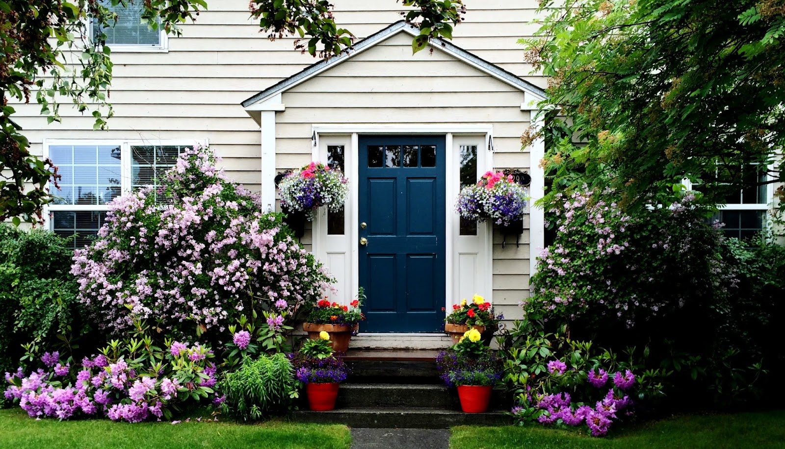 Swallowed Fly Crusades Hanging Baskets in Anchorage