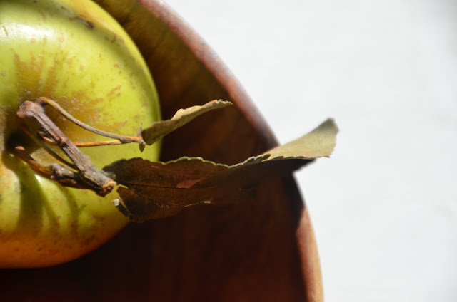 Apple in wood bowl