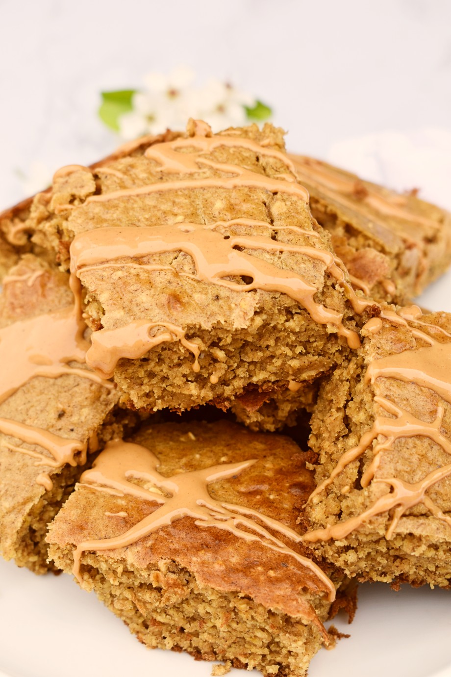 Peanut Butter Breakfast Bars + Peanut Lover Giveaway The Nutritionist